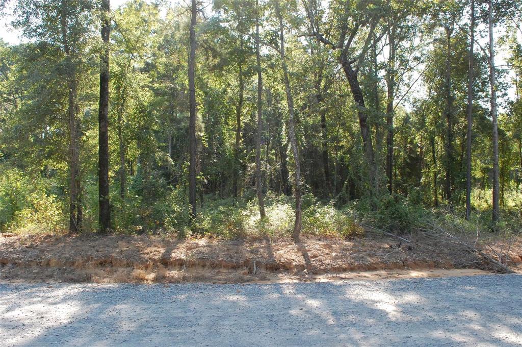 A Old Church Road Frierson, LA 71027 - Photo 1 of 1 Gallery Image 1