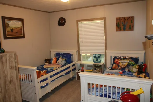 a bedroom with furniture and a window