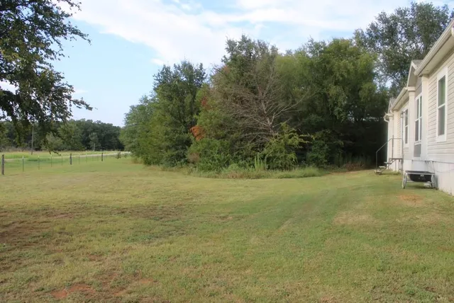 a view of a yard with a tree