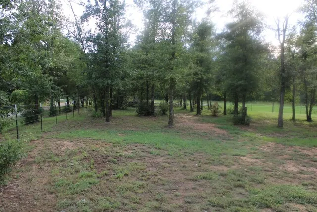 a view of outdoor space with trees