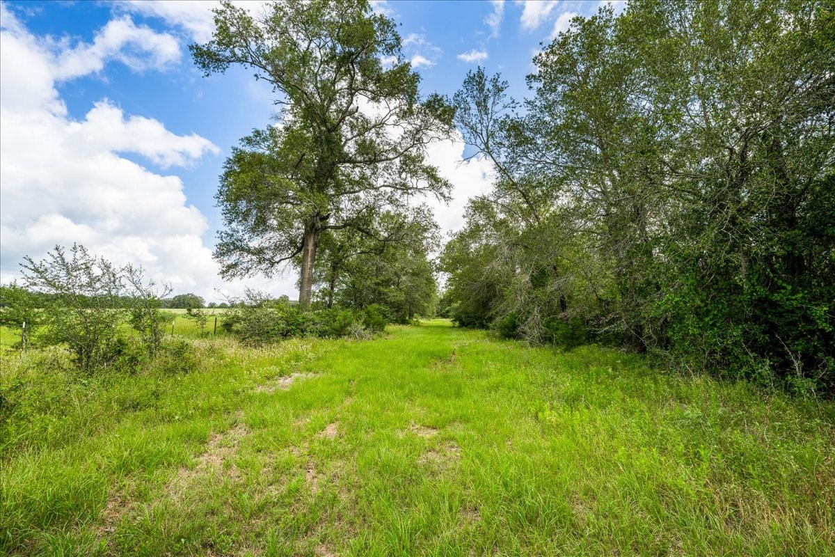 2845 Boehnke Road Muldoon, TX 78949 - Photo 36 of 39 a view of an outdoor space and a yard
