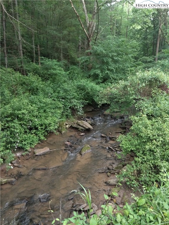 Farmers Fish Camp Road Sparta, NC 28675 - Photo 14 of 50 Gallery Image 14