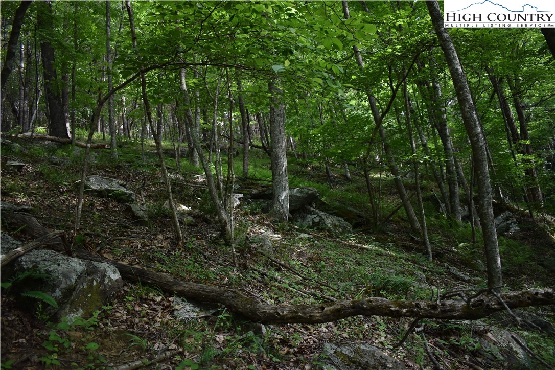 Farmers Fish Camp Road Sparta, NC 28675 - Photo 25 of 50 Gallery Image 25