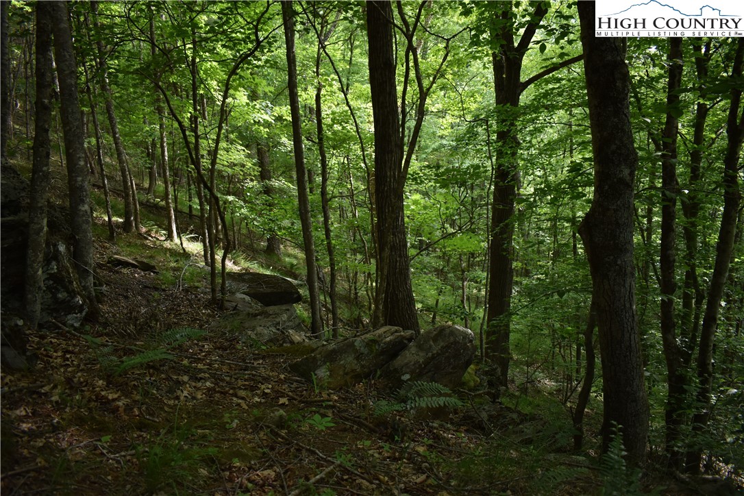 Farmers Fish Camp Road Sparta, NC 28675 - Photo 27 of 50 Gallery Image 27