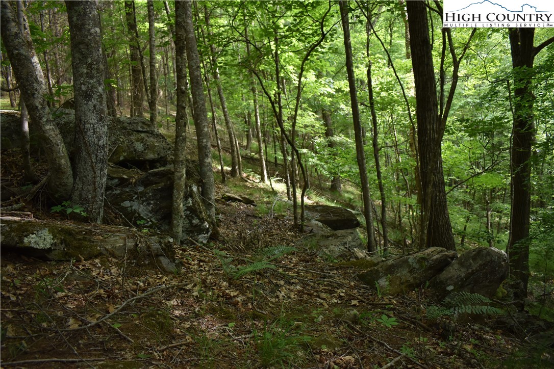 Farmers Fish Camp Road Sparta, NC 28675 - Photo 29 of 50 Gallery Image 29