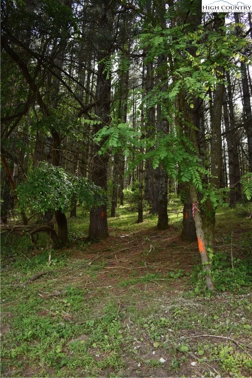 Farmers Fish Camp Road Sparta, NC 28675 - Photo 10 of 50 Gallery Image 10