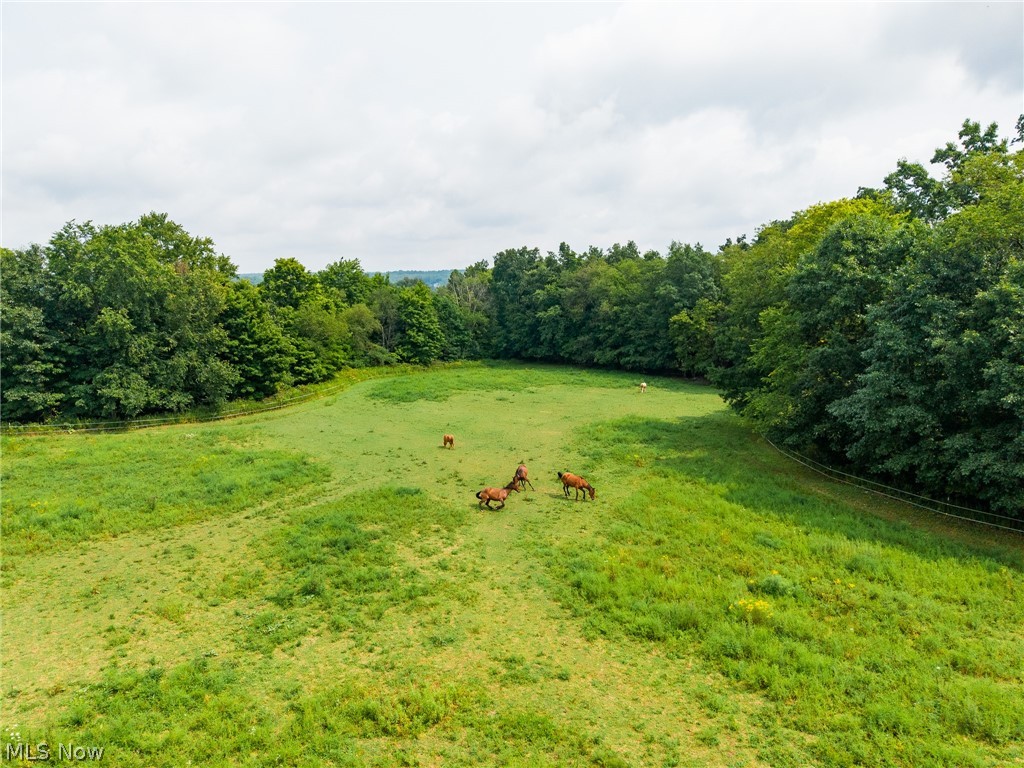 172 West County Line Road Jamestown, PA 16134 - Photo 32 of 50 Gallery Image 32