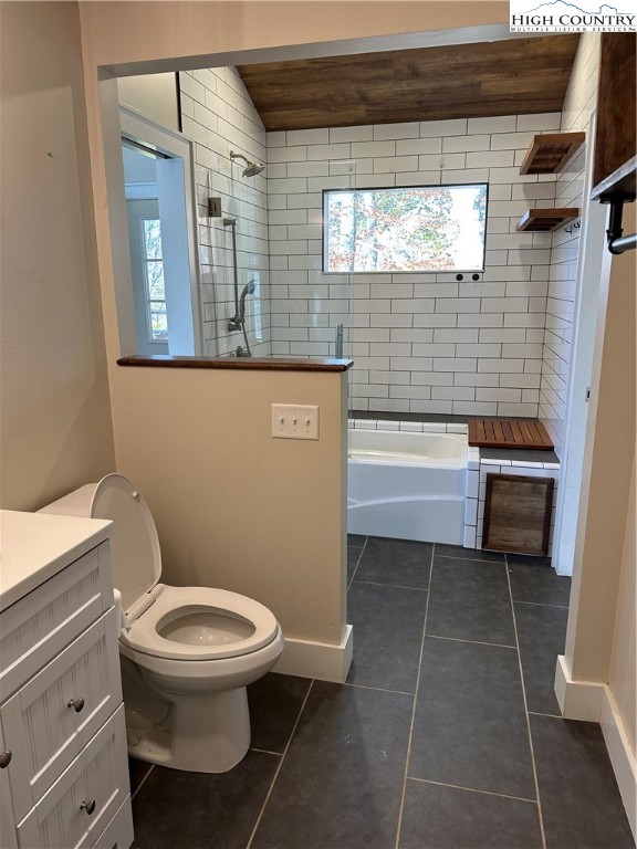 3242 Howard's Creek Road Boone, NC 28607 - Photo 15 of 33 a bathroom with a toilet a sink and bathtub