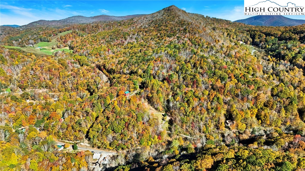 3242 Howard's Creek Road Boone, NC 28607 - Photo 28 of 33 a view of a field with a mountain in the background