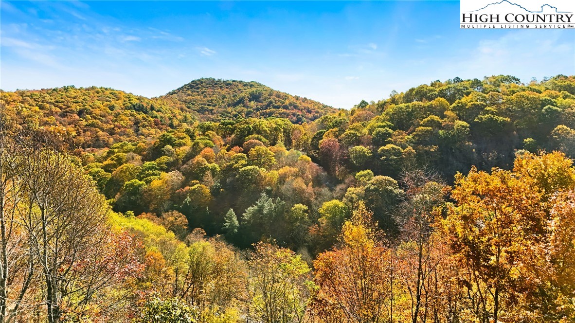 3242 Howard's Creek Road Boone, NC 28607 - Photo 32 of 33