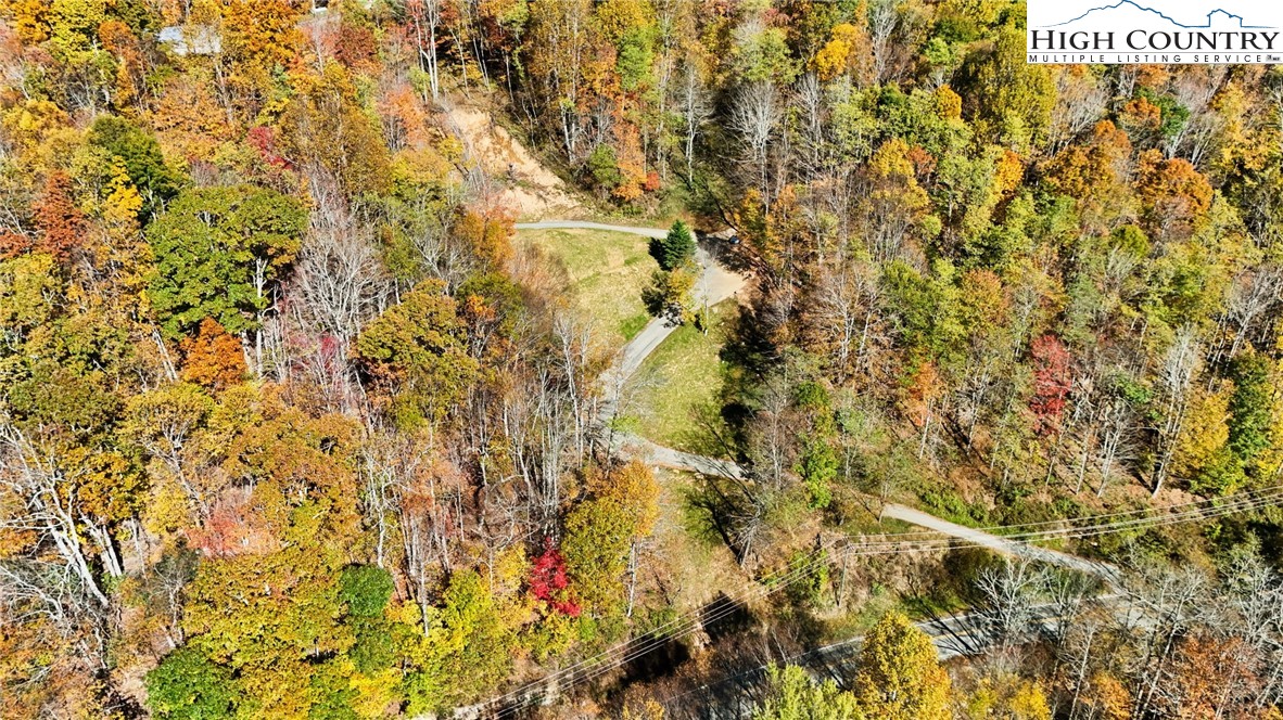 3242 Howard's Creek Road Boone, NC 28607 - Photo 6 of 33