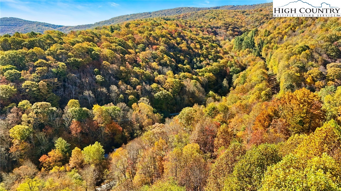 3242 Howard's Creek Road Boone, NC 28607 - Photo 7 of 33 a view of mountains