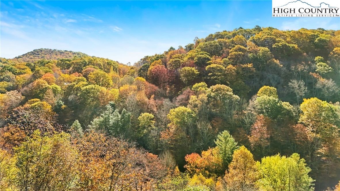 3242 Howard's Creek Road Boone, NC 28607 - Photo 8 of 33