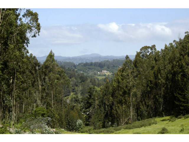 815 Larkin Valley Road Watsonville, CA 95076 - Photo 12 of 13 Gallery Image 12