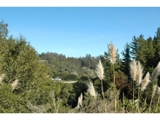 815 Larkin Valley Road Watsonville, CA 95076 - Photo 13 of 13 Gallery Image 13