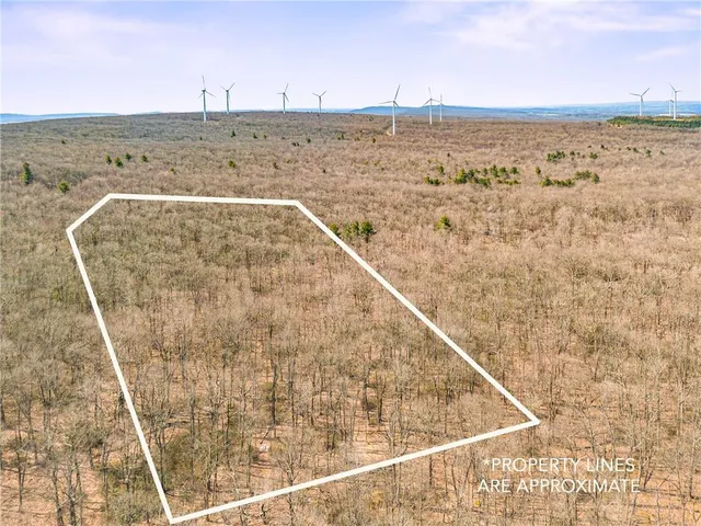 a view of an ocean beach
