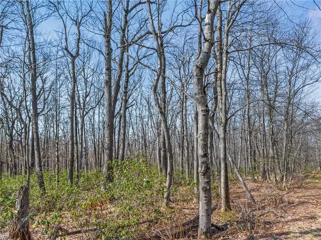 a backyard of a house with lots of trees