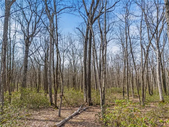 a view of outdoor space with swimming pool