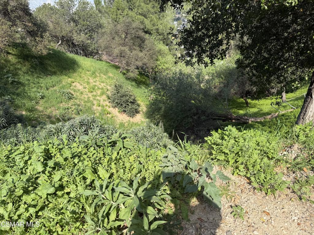 Flora Morgan Trail Tujunga, CA 91042 - Photo 3 of 7 a view of a garden