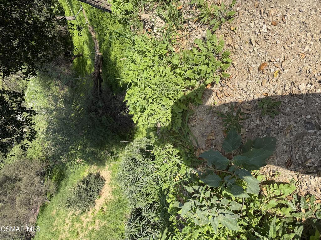 Flora Morgan Trail Tujunga, CA 91042 - Photo 7 of 7 a view of a garden