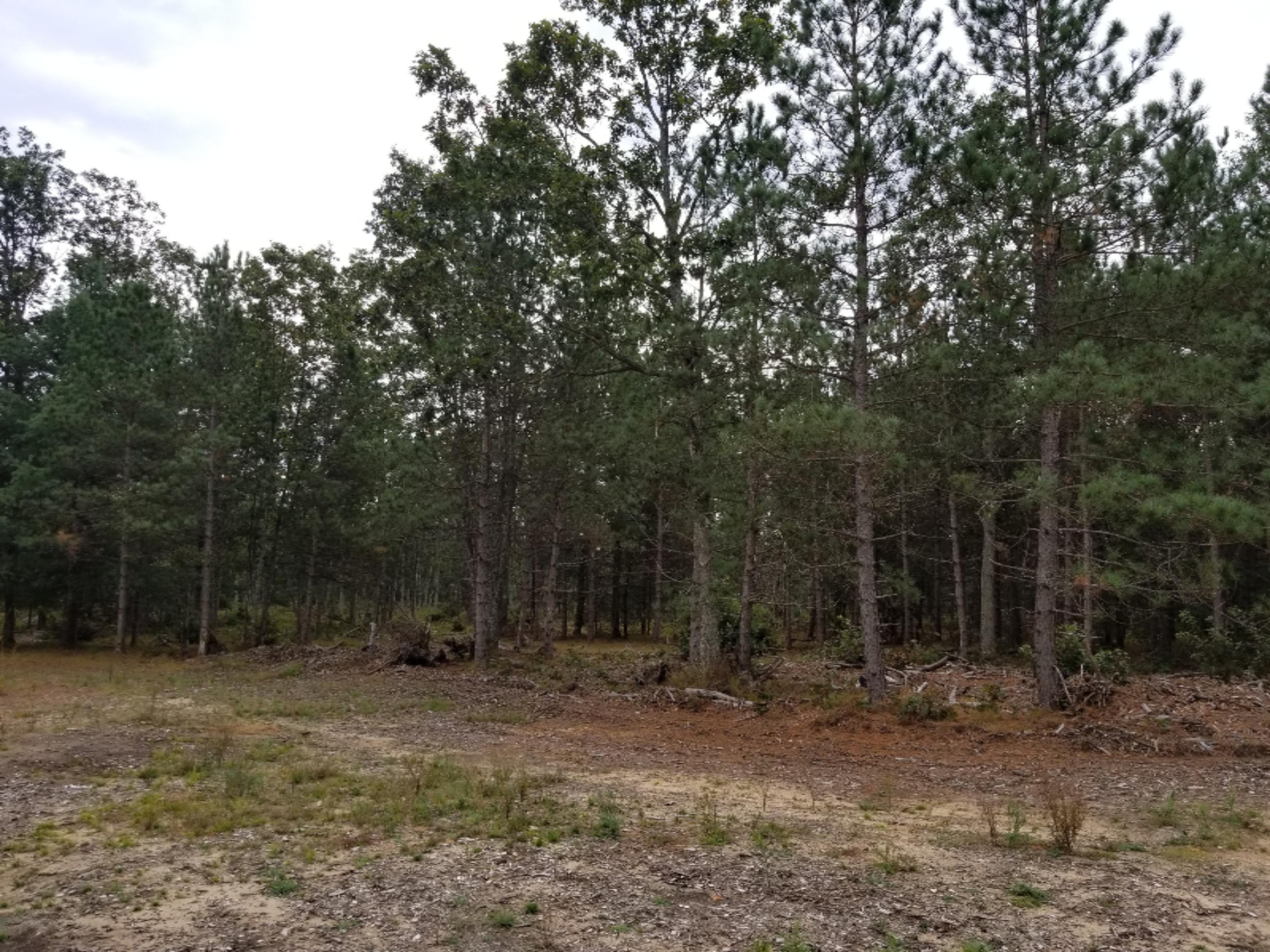 7375 East Kinney Road Branch, MI 49402 - Photo 1 of 9 20171005_142211