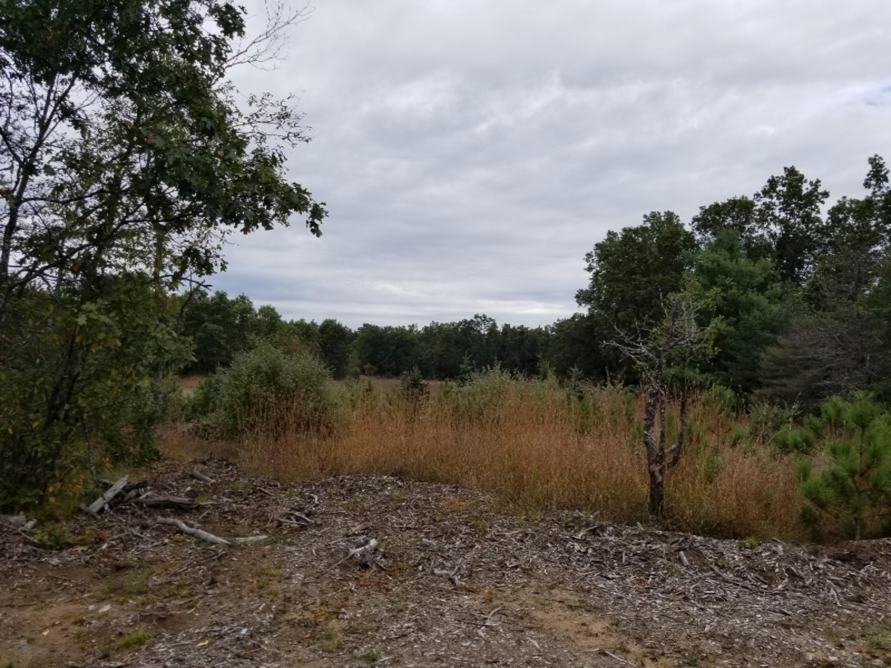 7375 East Kinney Road Branch, MI 49402 - Photo 3 of 9 20171005_142204