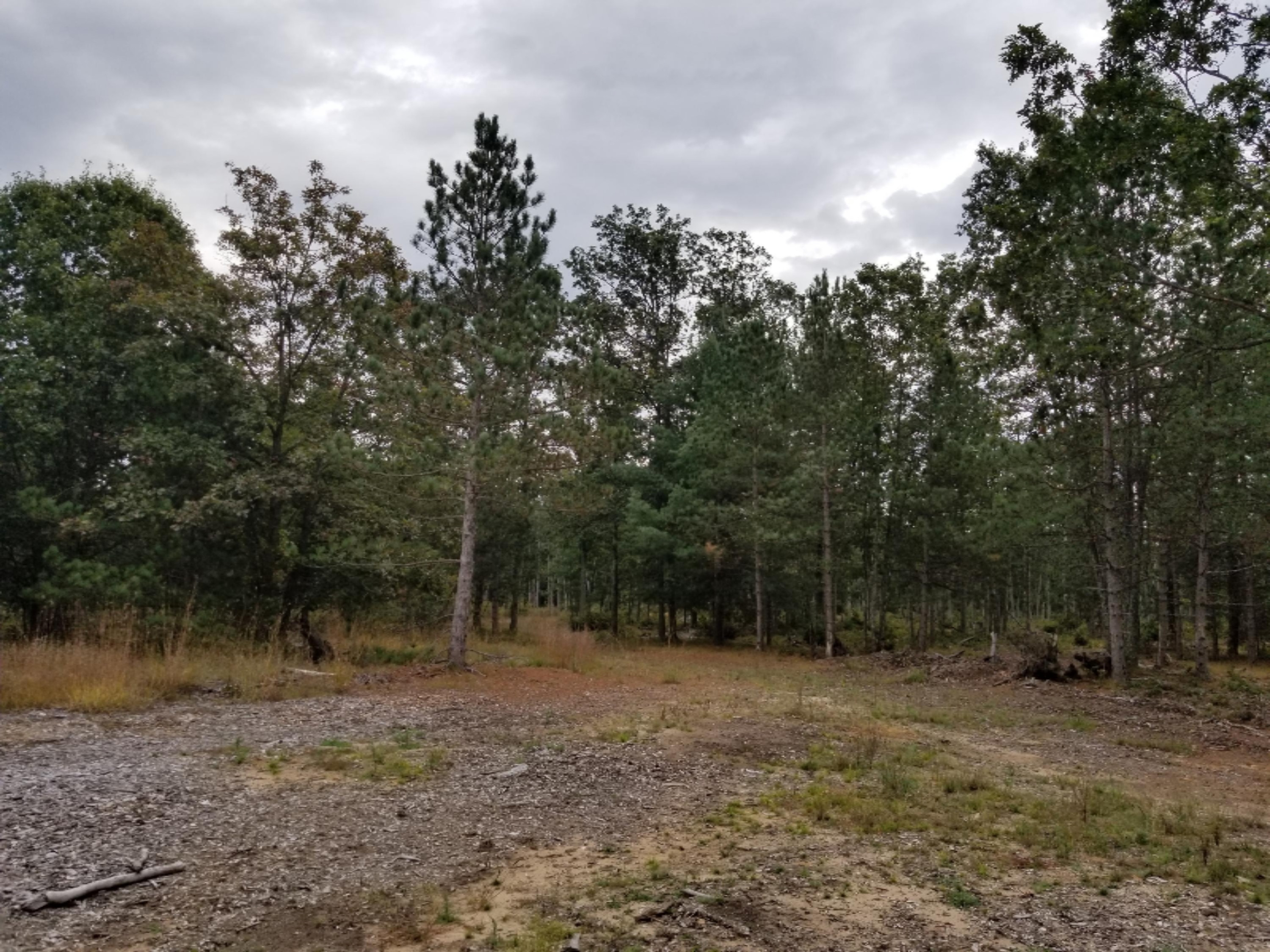 7375 East Kinney Road Branch, MI 49402 - Photo 4 of 9 20171005_142214 (1)