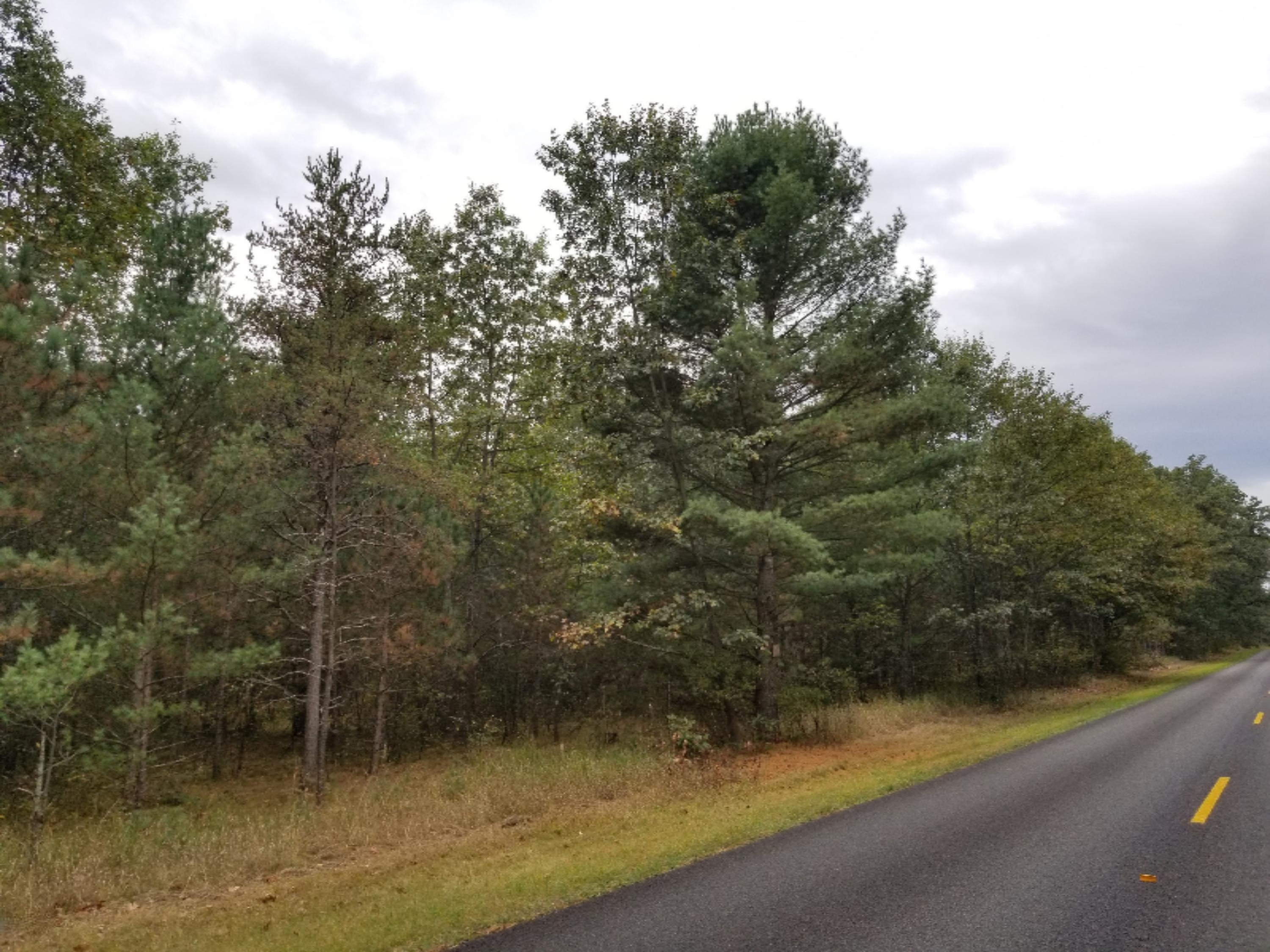7375 East Kinney Road Branch, MI 49402 - Photo 5 of 9 20171005_141828
