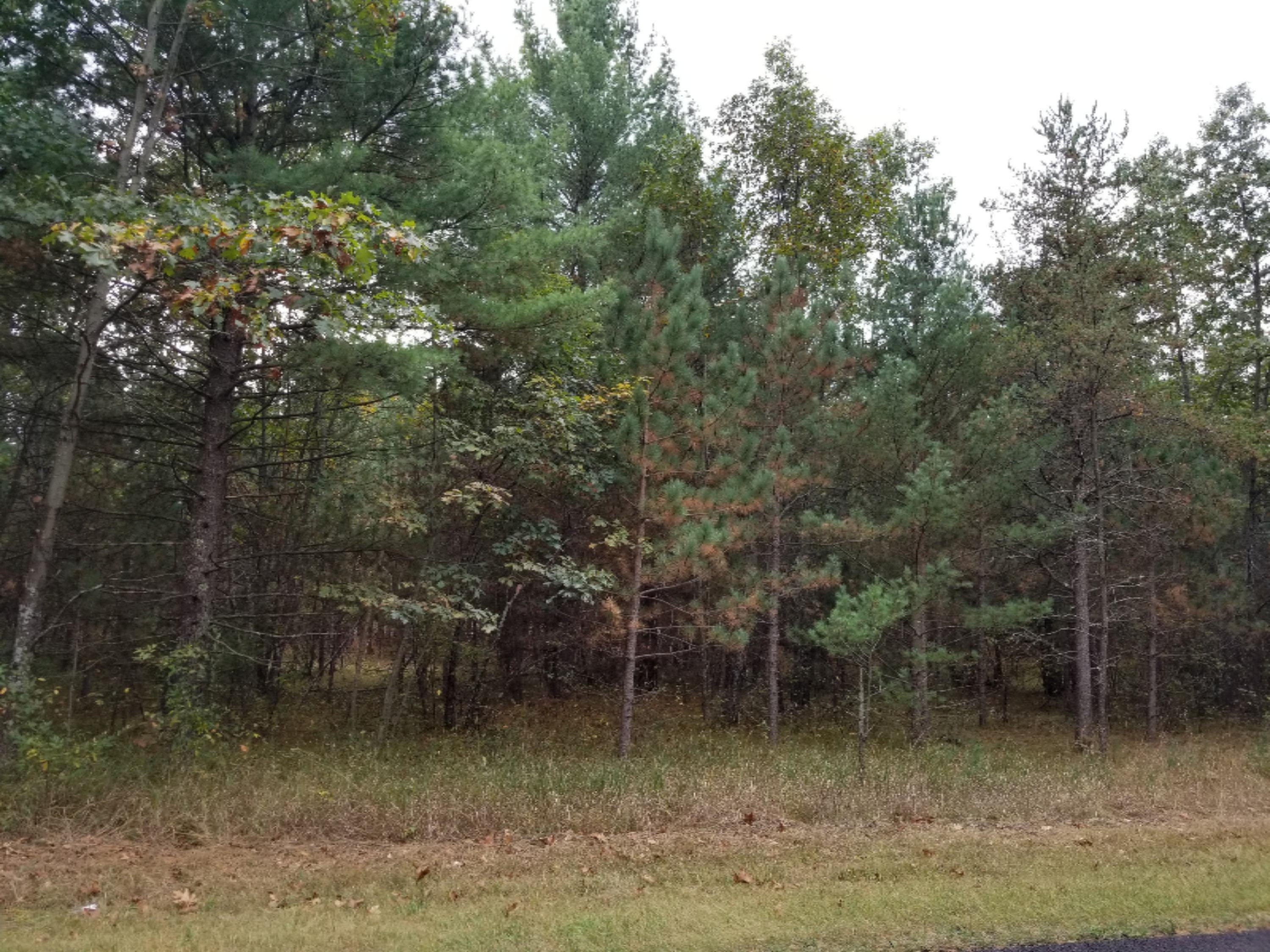 7375 East Kinney Road Branch, MI 49402 - Photo 6 of 9 20171005_141825