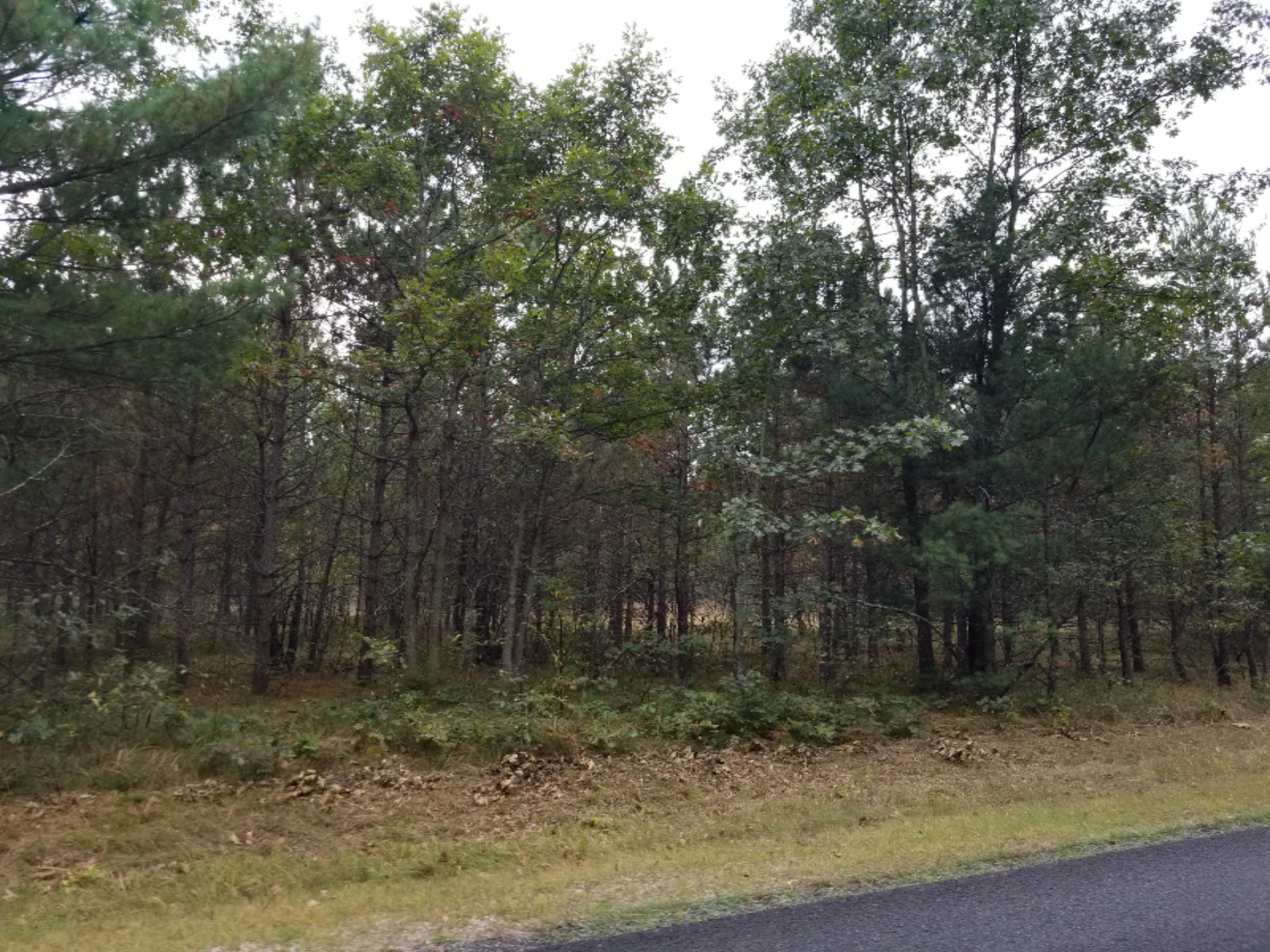 7375 East Kinney Road Branch, MI 49402 - Photo 7 of 9 20171005_141801