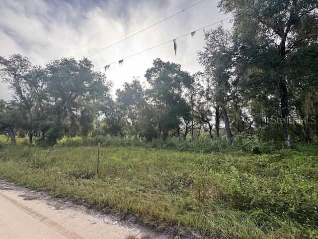 104 Floradandy Road Hawthorne, FL 32640 - Photo 6 of 9