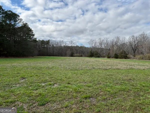 a view of a grassy field