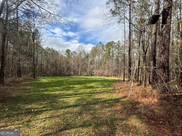a view of a field with large trees