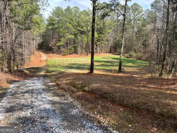 a view of a yard with a tree