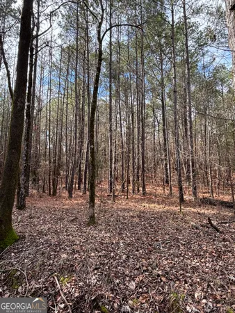 a view of outdoor space with trees