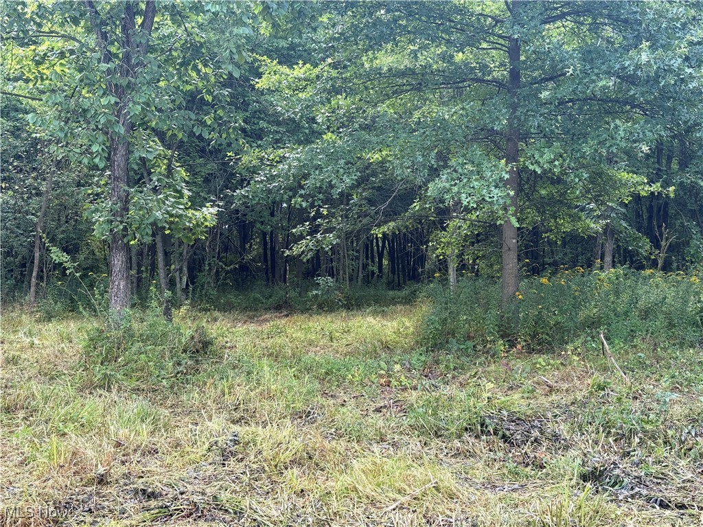 Hartville Road North Atwater, OH 44201 - Photo 4 of 10 View of tree filled area