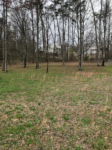 6513 Grubb Road, Unit 10 Hixson, TN 37343 - Photo 4 of 7 IMG_1678