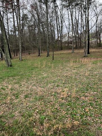 6513 Grubb Road, Unit 10 Hixson, TN 37343 - Photo 6 of 7 IMG_1680