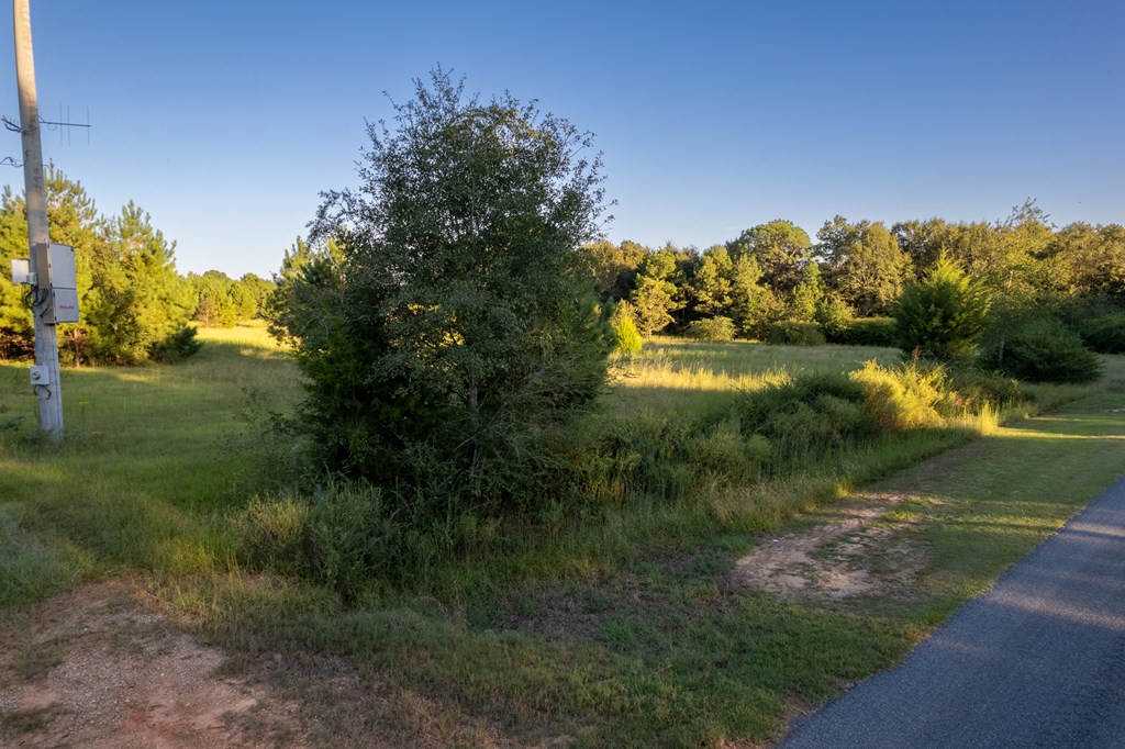 2226 Randall Wade Road Headland, AL 36345 - Photo 11 of 60