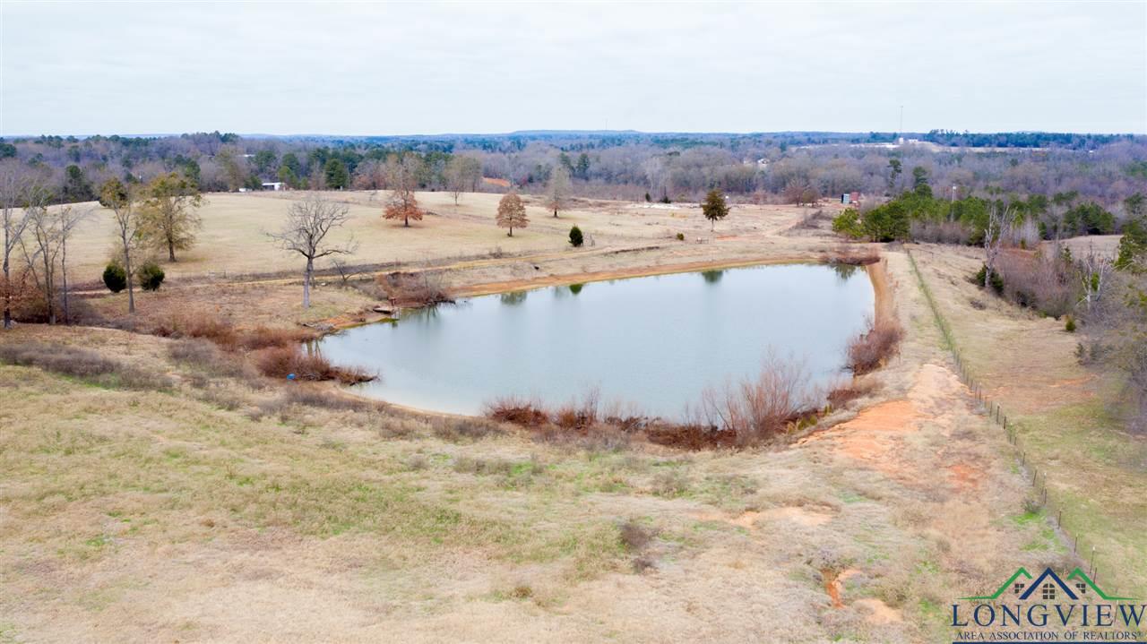 10477 Mallard Road Diana, TX 75640 - Photo 4 of 28 Gallery Image 4