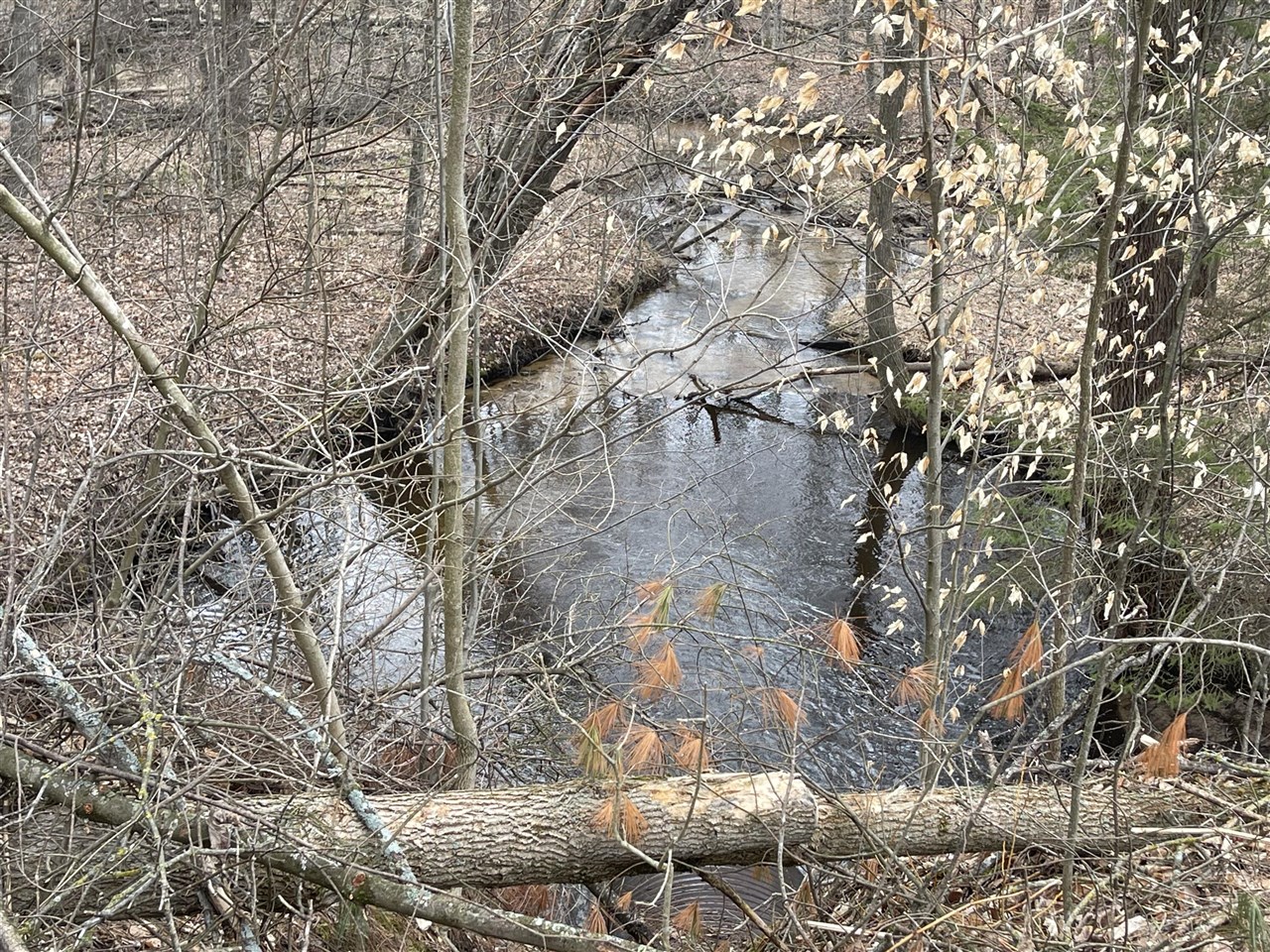 Eight Mile Road Kaleva, MI 49645 - Photo 8 of 14