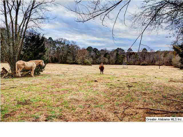 2840 Eastern Valley Road Leeds, AL 35094 - Photo 8 of 11