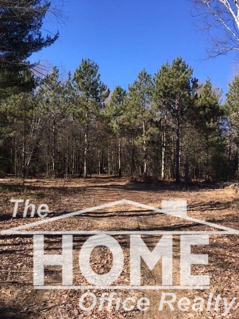 Vac Marion Road Brant, MI 48614 - Photo 1 of 1