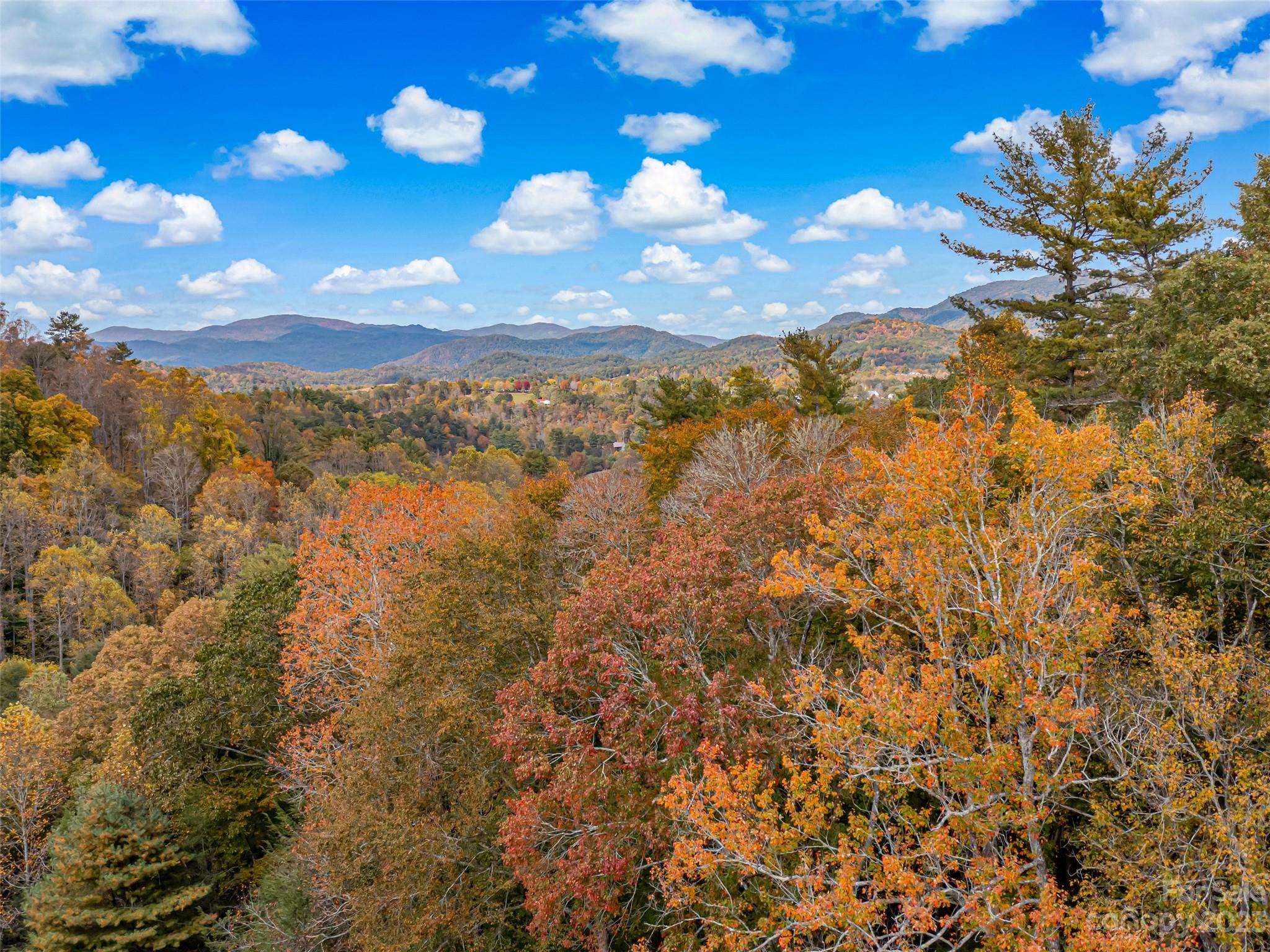 693 Sharp Hollow Road Marshall, NC 28753 - Photo 1 of 46 a view of a city