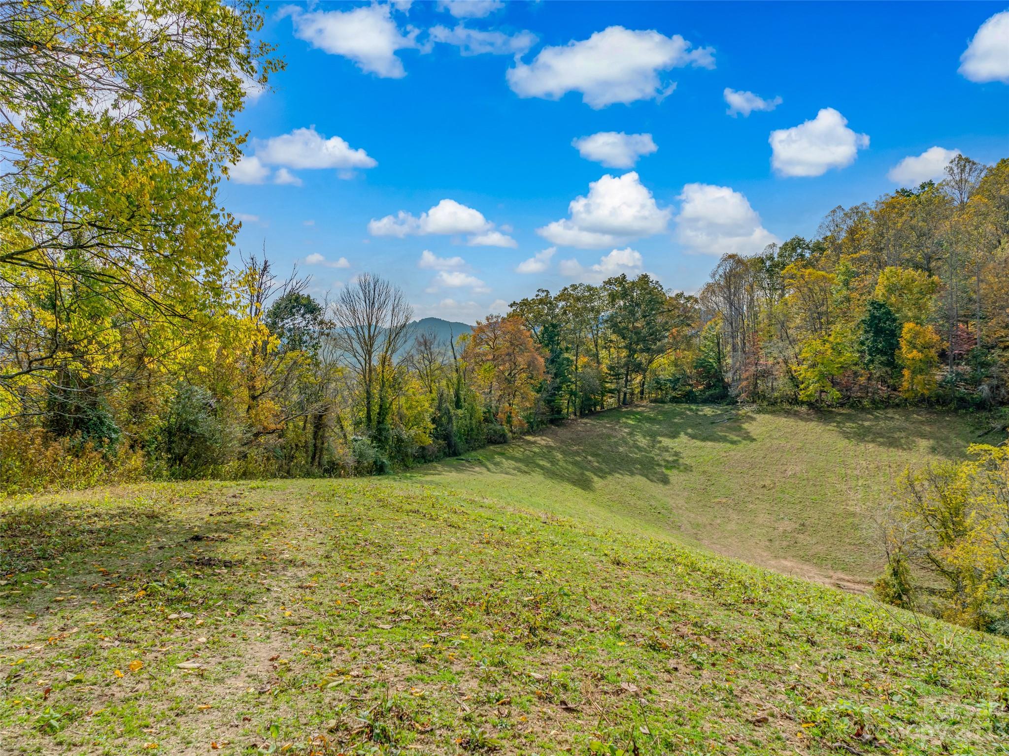693 Sharp Hollow Road Marshall, NC 28753 - Photo 13 of 46 a view of a yard with a tree