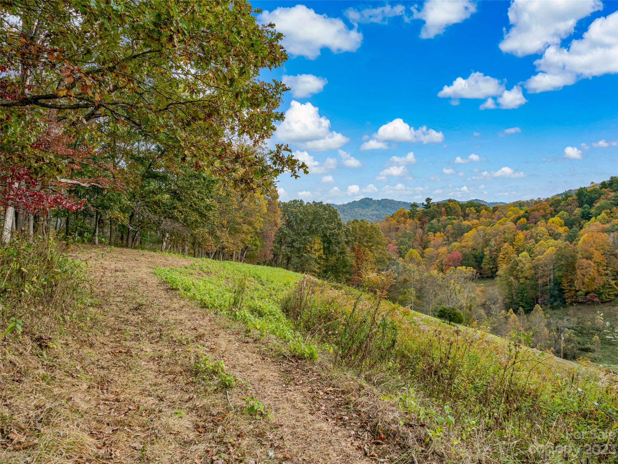 693 Sharp Hollow Road Marshall, NC 28753 - Photo 15 of 46 a view of a yard with a tree