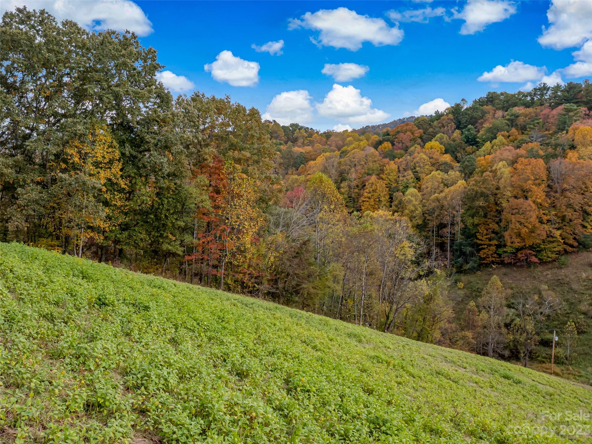 693 Sharp Hollow Road Marshall, NC 28753 - Photo 16 of 46 a view of a yard with an outdoor space