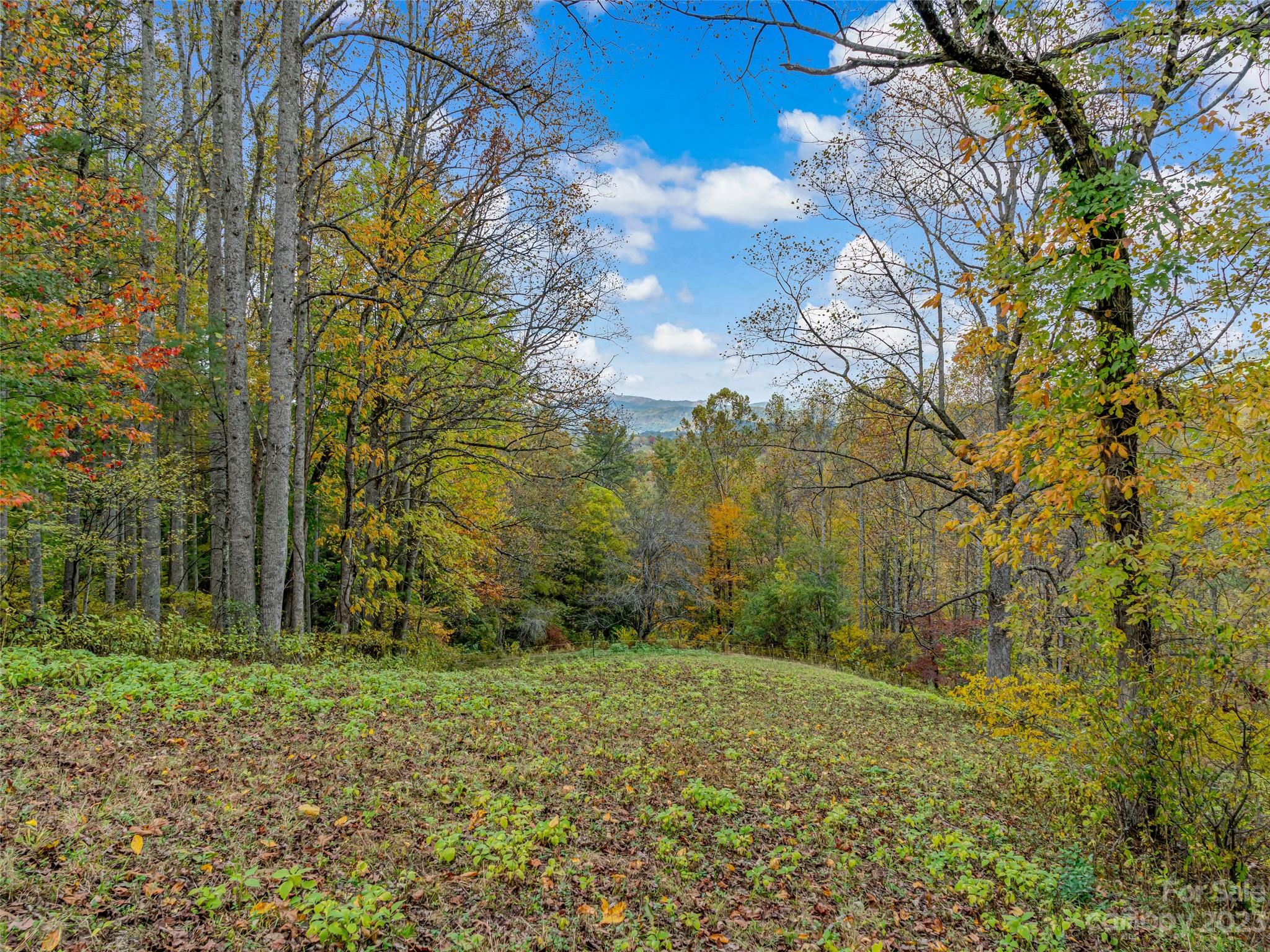 693 Sharp Hollow Road Marshall, NC 28753 - Photo 17 of 46 a view of a yard with trees