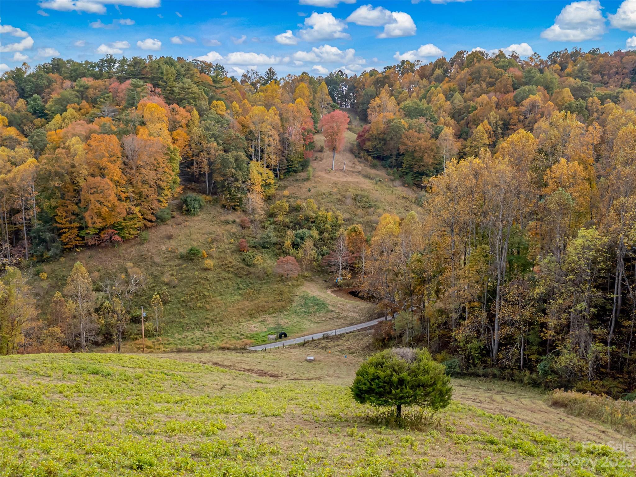 693 Sharp Hollow Road Marshall, NC 28753 - Photo 26 of 46 a view of lake view and mountain view