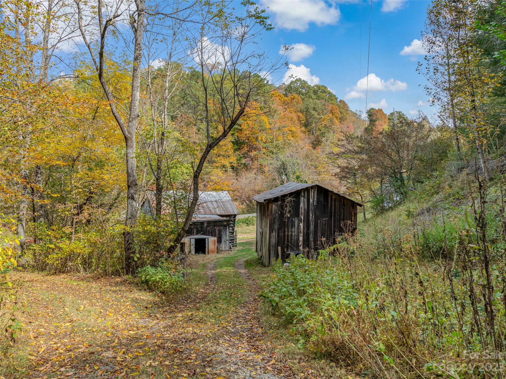 693 Sharp Hollow Road Marshall, NC 28753 - Photo 34 of 46 a backyard of a house with lots of green space